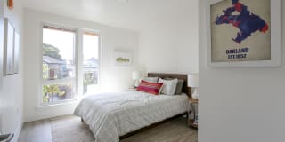 Hollis Oak Gallery 5