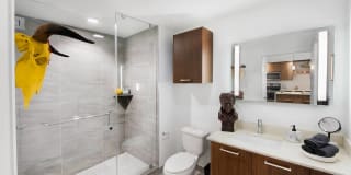 AMLI Midtown 29 Gallery 3