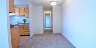 Severn Square Gallery 12