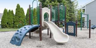 Island Club Gallery 22