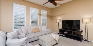 Coconut Plantation Gallery 6