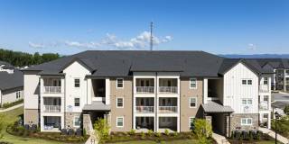 The Standard at Pinestone Gallery 33