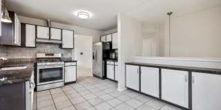 164 White Branch Court Gallery 13