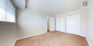 Mallow at The Hills Gallery 1