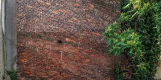 234 BAINBRIDGE Street Gallery 10