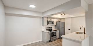 Rise on Cactus Gallery 18