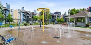 Revive at 9 Mile Station Gallery 23