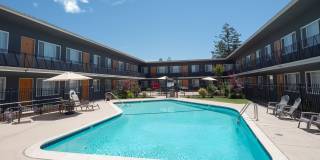 Timberlane Gallery 8