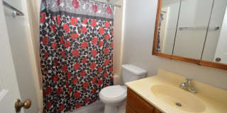 3319 Tarleton W Gallery 8
