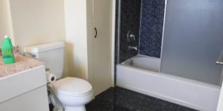 Kahala Hts Cottage 2 / 1 / garage Gallery 12