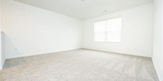 98 Brewster Drive Gallery 13