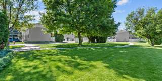 Sugar Pine Gallery 30