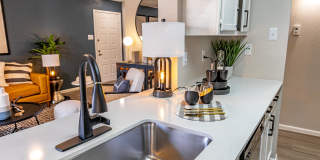 The Orion The Orion Gallery 8