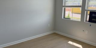 135 Wolfe Lane Gallery 1