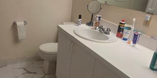 NO FEE! XL House w 2 Parking Inc, Laundry I/U -- New Hardwood Flooring, Pet Friendly, 2 Parking Spots Inc Gallery 11
