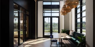 Orlo & Alba Gallery 26