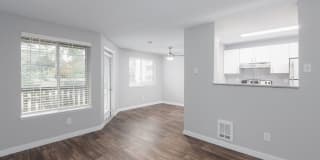 1202 Pearl Gallery 22