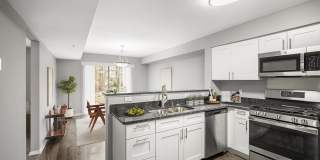 The Villages at Morgan Metro Gallery 4