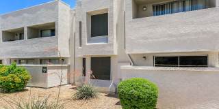 Cove on 44th Gallery 19