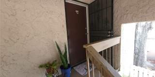7505 PITCH PINE CIRCLE Gallery 2