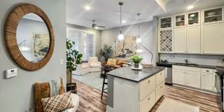 Novus Westshore Gallery 13