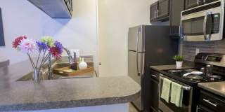 The Versailles Gallery 4