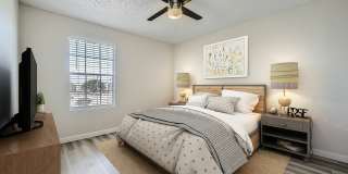 Rise Spring Pointe Gallery 43