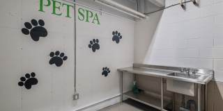 The Shelby - Alexandria Gallery 10