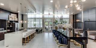 Remi West Dallas Remi West Dallas Gallery 15