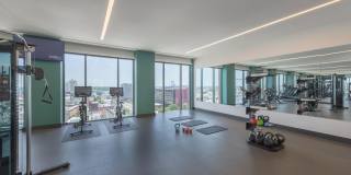 The Carson Gallery 41