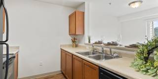 River View Collection Gallery 30