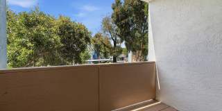 Mariposa Gallery 27