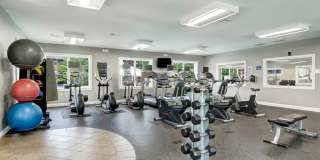 ReNew Waltham Gallery 18