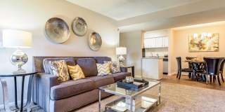 Canter Chase Gallery 6