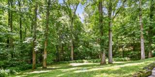 Three Bedroom with Basement! Gallery 15