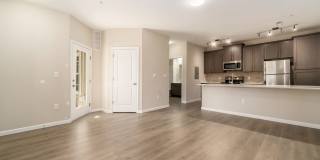 TGM Meadow View Gallery 32