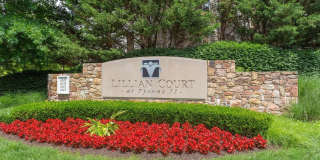 1625 INTERNATIONAL DR #321 Gallery 25