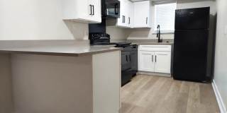 The Academic Gallery 1