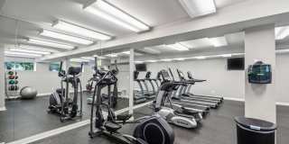 The Lake Shore Apartments Gallery 33