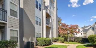 The Knoll at Fair Oaks Gallery 39