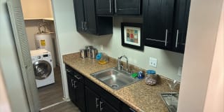 Goldelm at Cedar Bluff Gallery 11