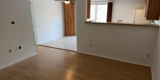 1113 Scarlet Oak Avenue Gallery 2