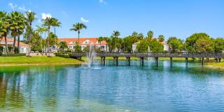 The Palms of Doral Gallery 8