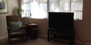 Lake Eola Heights Spacious Rental Lake Eola Heights Spacious Rental Gallery 4