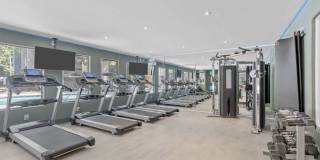 Emerald Place Gallery 9