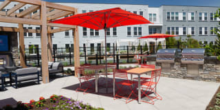 The Mastlight Gallery 8