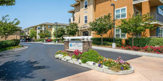 The Artisan Gallery 36