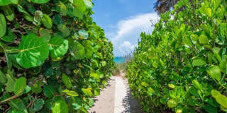 1476 Smugglers Cove Gallery 27