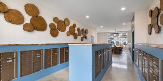 The Canter Gallery 28