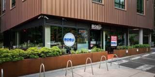 TreeHouse Gallery 19